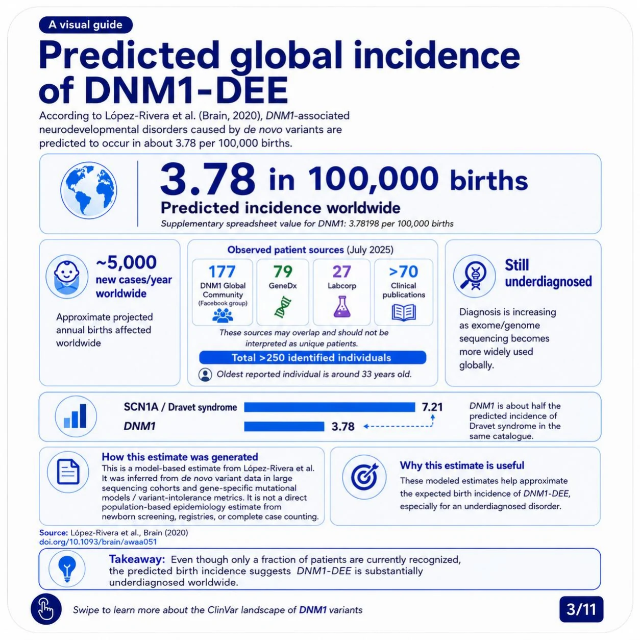 Slide 3: Predicted global incidence of DNM1-DEE is about 3.78 in 100,000 births