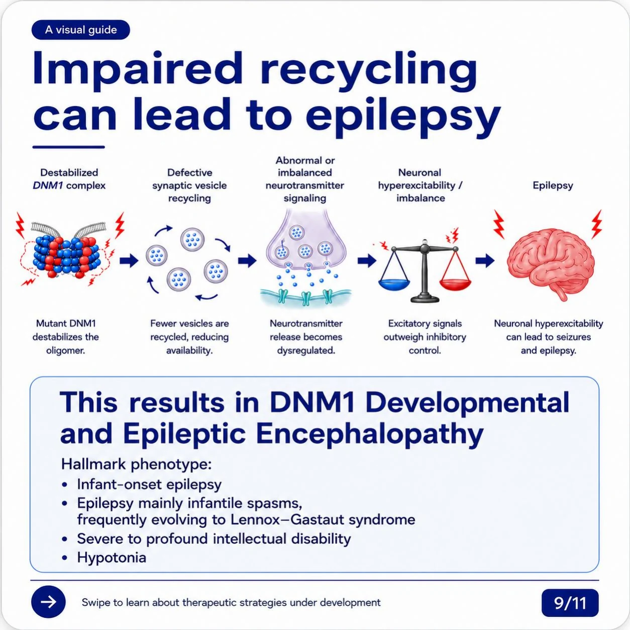 Slide 9: Impaired vesicle recycling can lead to epilepsy and DNM1 Developmental and Epileptic Encephalopathy