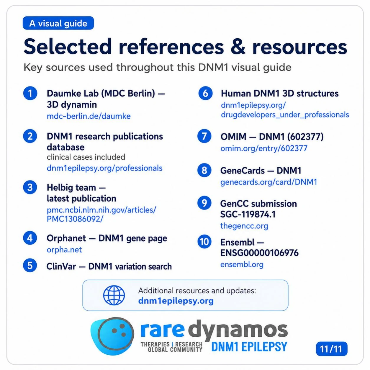 Slide 11: Selected references and resources for the DNM1 visual guide